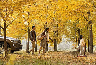 土木老哥模拟器《拆建公司3》现已正式推出 获多半好评